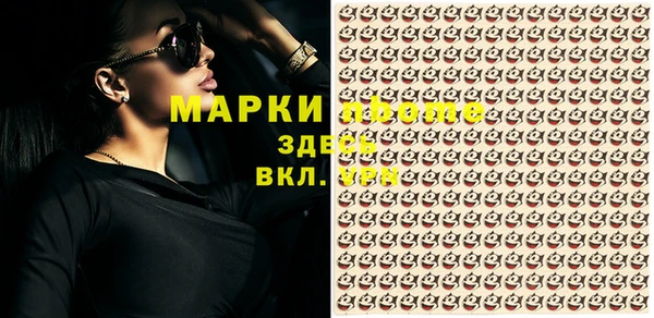 шишки Мурманск