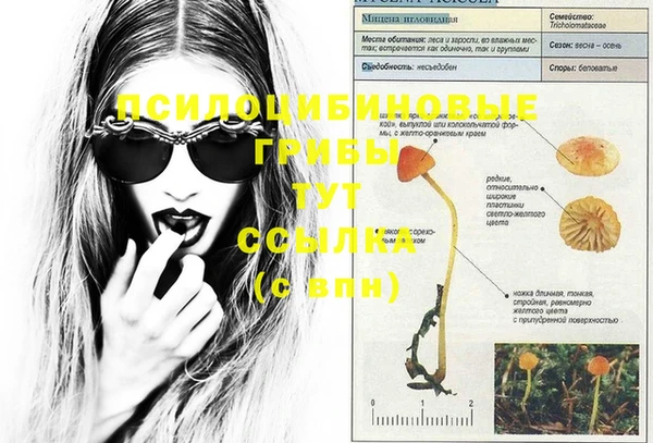 твердый Архангельск